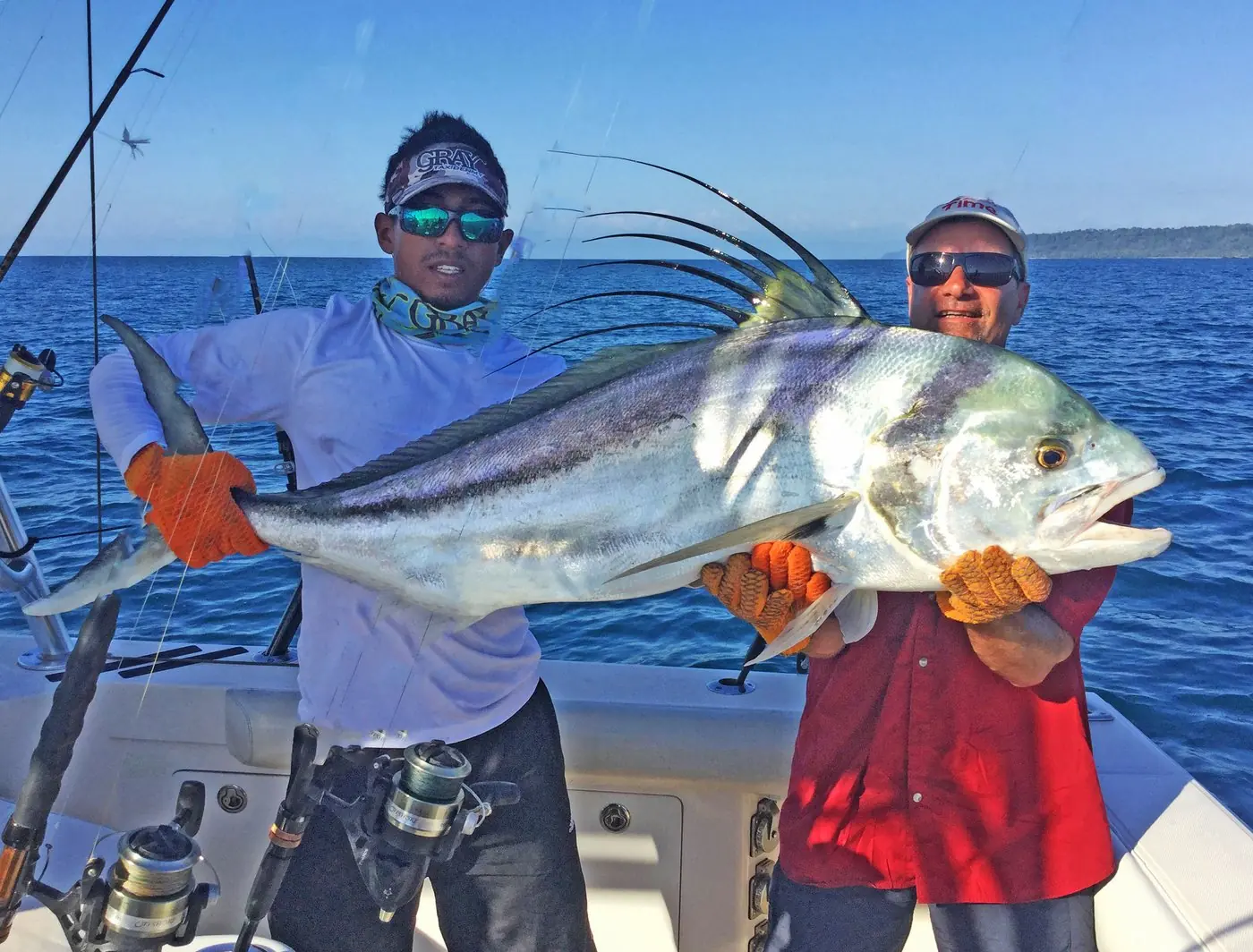 Offshore sport fishing catch