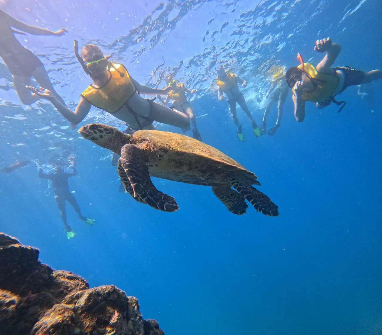 Isla del Caño, Costa Rica — snorkeling destination