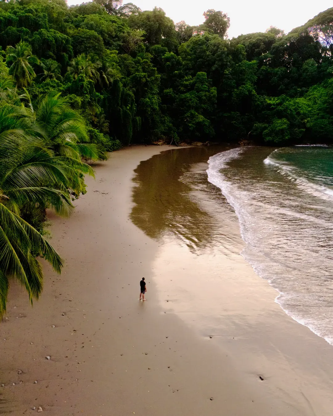 The palm-backed cove at Playa Pi&ntilde;uela