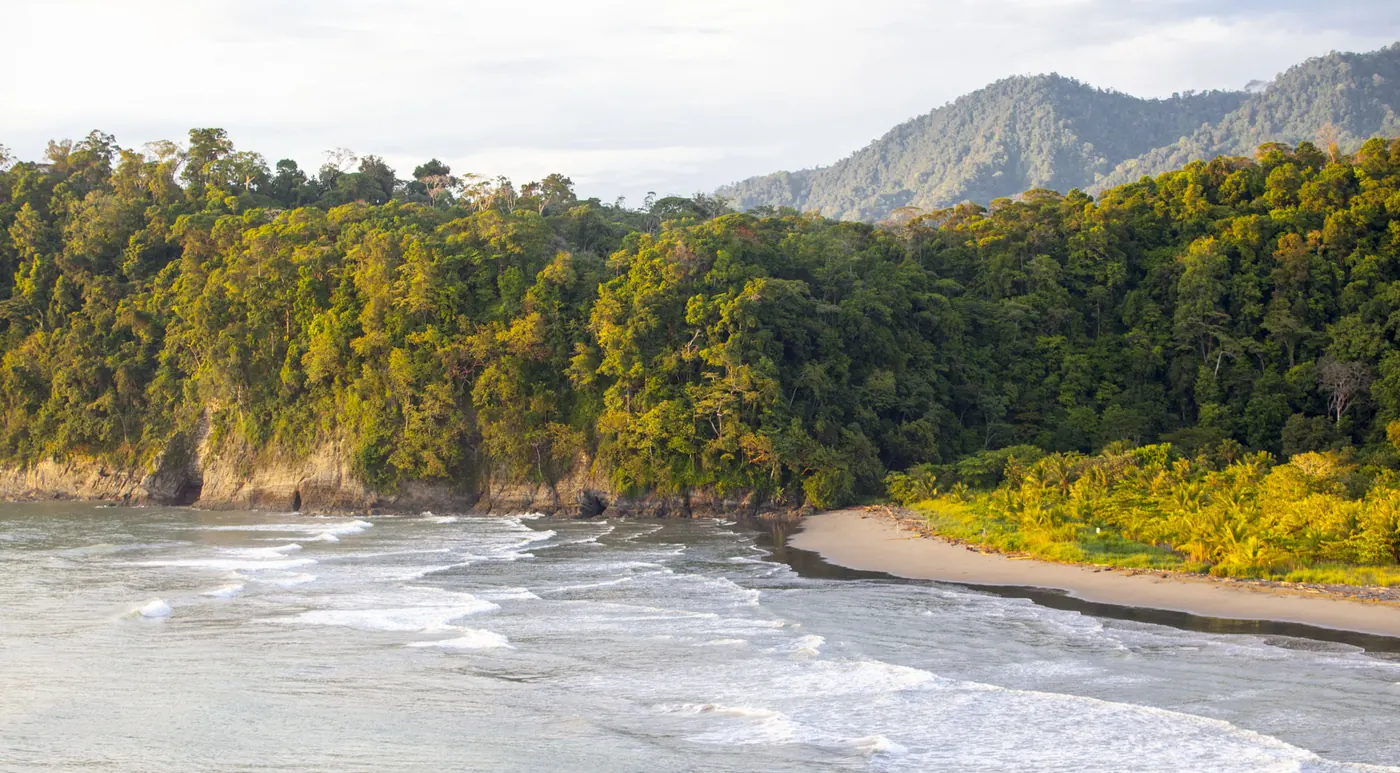 The jungle-backed shoreline at Playa Tortuga, Ojochal